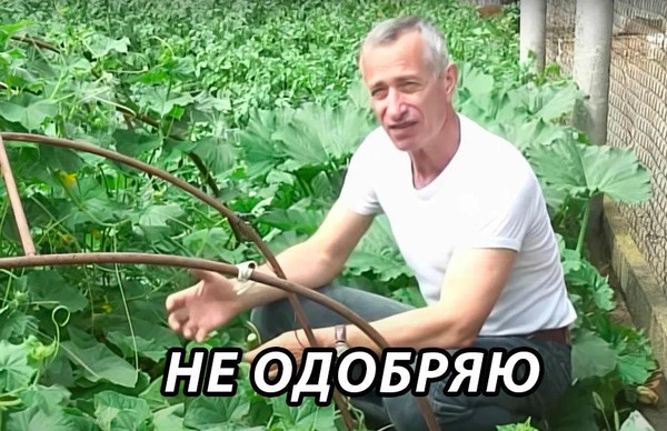 Мужик убил своего отца из-за огурцов в Татарстане