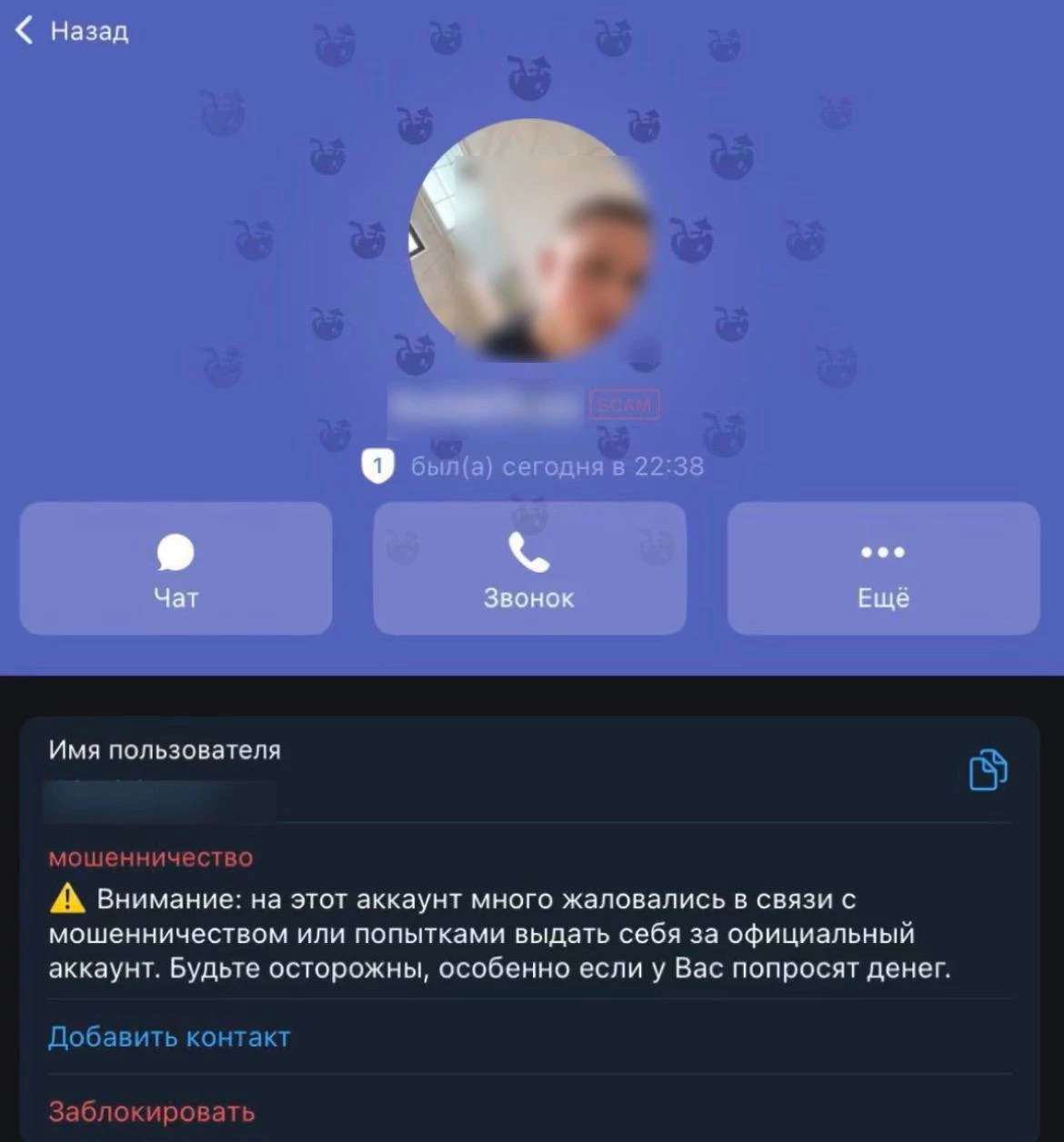 Сын Павла Дурова — скамер! 16-летний Михаил разводил людей на подарки и попался отцу