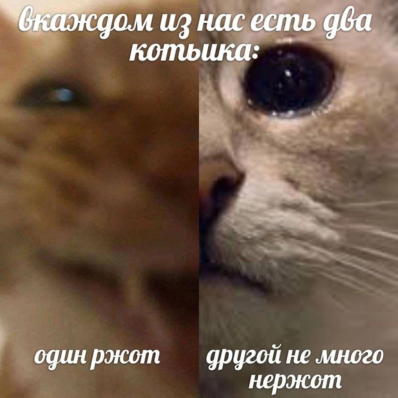 Знакомо - Мем