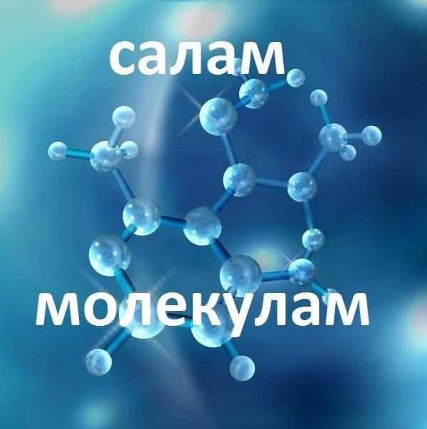 Молекулам салам - Мем
