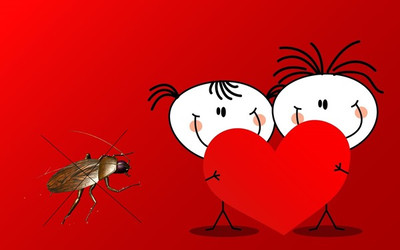 Американском зоопарке на День влюблённых можно будет назвать таракана именем бывшей — и скормить хищнику.