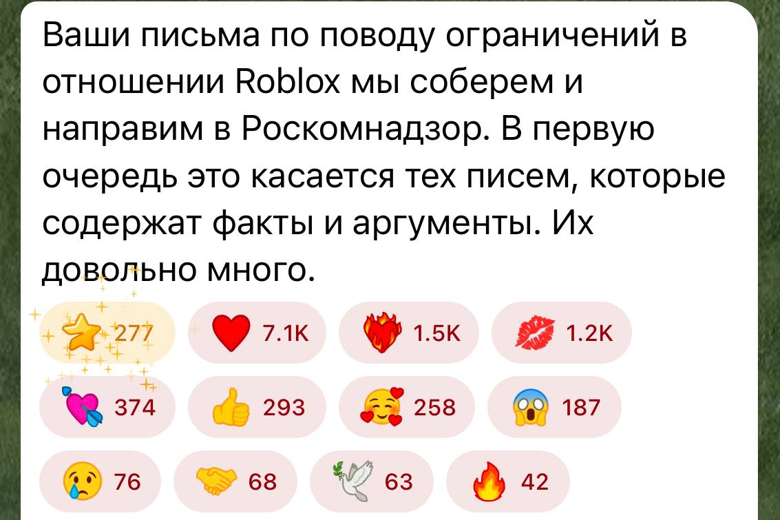 Мизулина собирает письма от фанатов, чтобы выбить разблокировку Roblox у РКН
