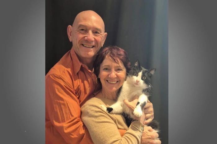 Кот Филу прошёл 250 км через две страны, чтобы вернуться домой!