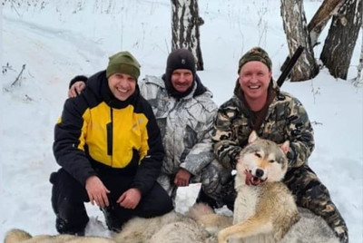 Депутат из «Единой России» раздавил волка снегоходом и издевался над раненным животным