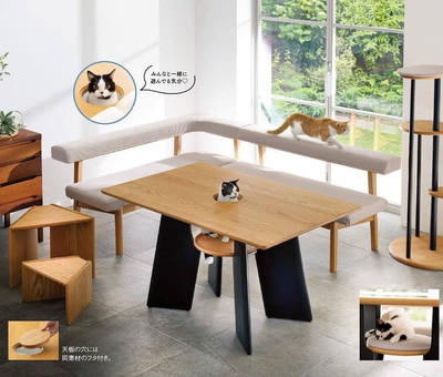 В Японии выпустили обеденный стол с отверстием для кота