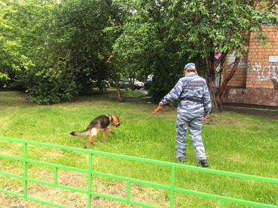 Группа вооружённых грабителей напала сегодня рано утром на инкассаторов «Сбербанка» в Красноярске