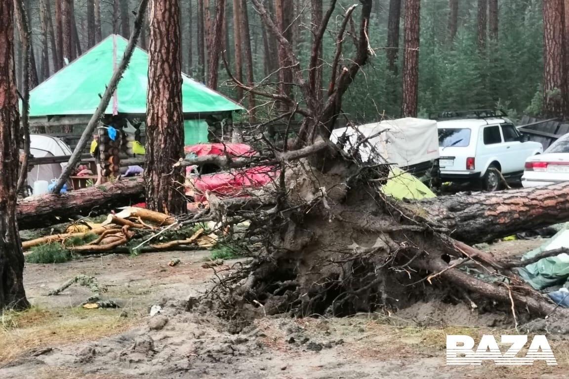 кадр