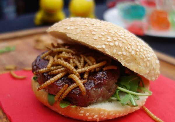Ученые нашли выход из проблемы с нехваткой мяса в мире - червяки в бургер!