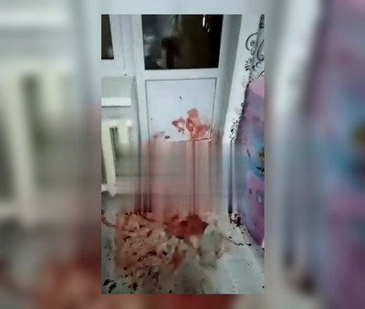 Две домашние собаки загрызли своего хозяина в Башкирии